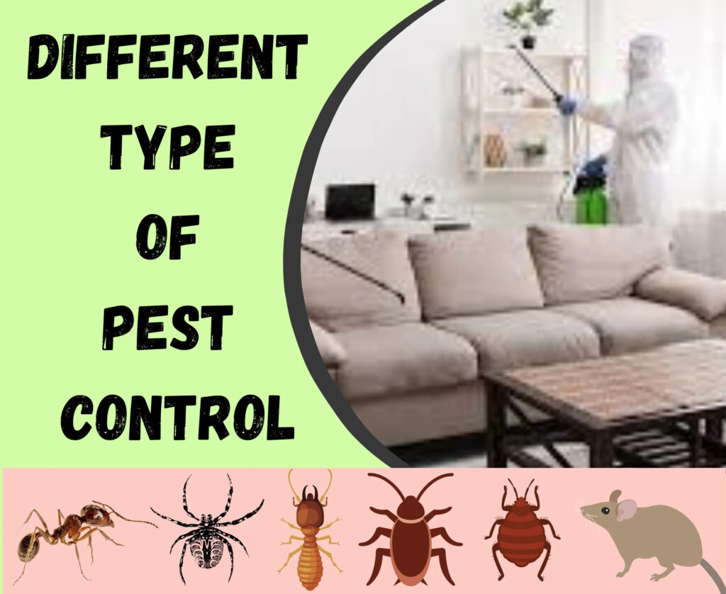 Different_type_of_Pest_Control