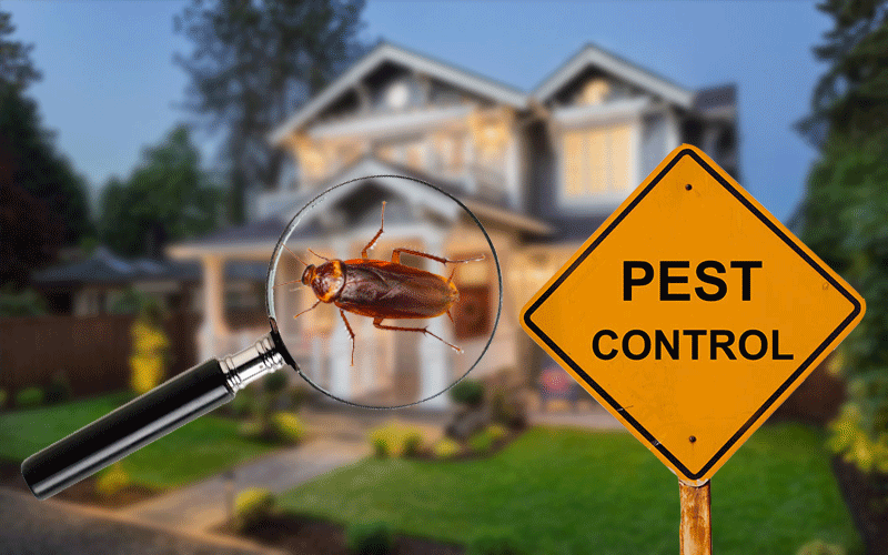 Residential Pest Control in Columbus